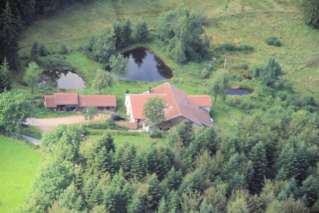 Gites De La Racine Girmont-Val-d'Ajol ภายนอก รูปภาพ
