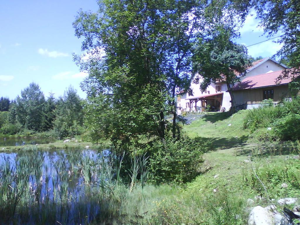 Gites De La Racine Girmont-Val-d'Ajol ภายนอก รูปภาพ